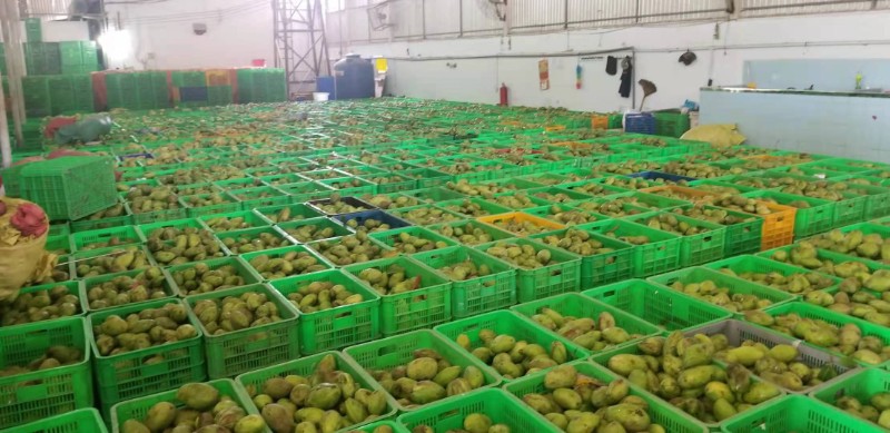 益陽瑪山產(chǎn)業(yè)機械有限公司，湖南益陽螺旋風管廠家，熱風食品烤房