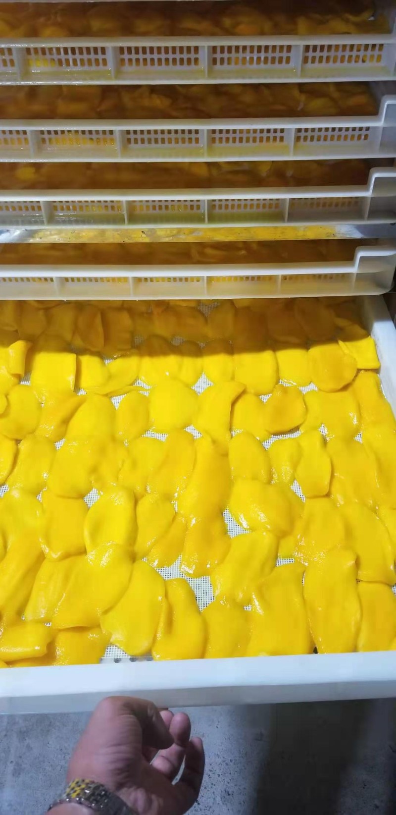 益陽瑪山產(chǎn)業(yè)機械有限公司，湖南益陽螺旋風管廠家，熱風食品烤房