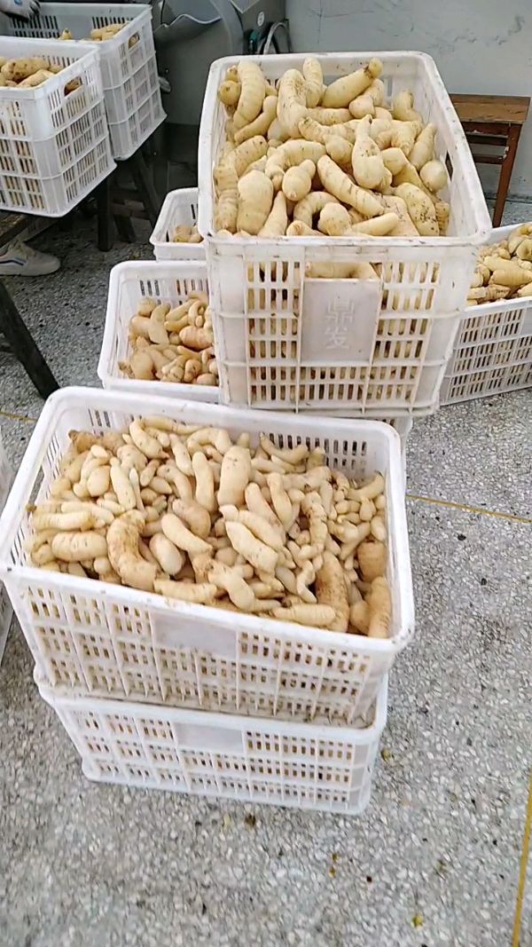 益陽瑪山產(chǎn)業(yè)機械有限公司，湖南益陽螺旋風管廠家，熱風食品烤房