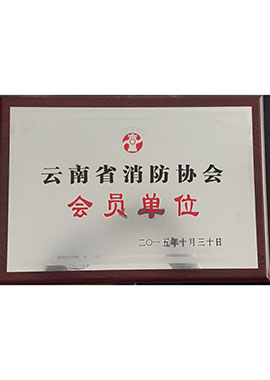 云南消防協(xié)會(huì)會(huì)員單位